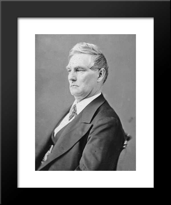 Wheeler, Vice President Of W.A. (Hayes Cabinet) 20x24 Black Modern Wood Framed Art Print Poster by Library of Congress