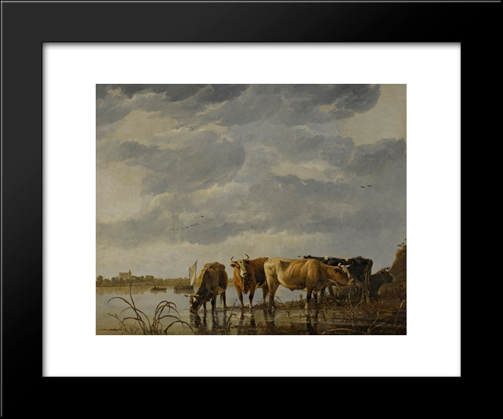 Cattle Watering By An Estuary 20x24 Black Modern Wood Framed Art Print Poster by Cuyp, Aelbert