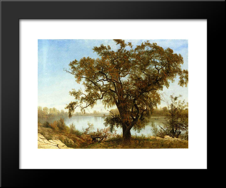 A View From Sacramento 20x24 Black Modern Wood Framed Art Print Poster by Bierstadt, Albert