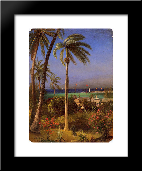 Bahamian View 20x24 Black Modern Wood Framed Art Print Poster by Bierstadt, Albert
