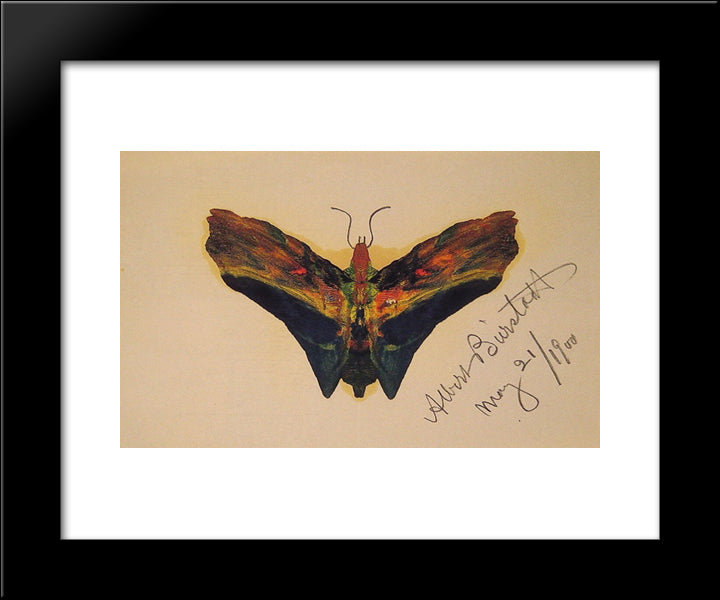 Butterfly (Second Version) 20x24 Black Modern Wood Framed Art Print Poster by Bierstadt, Albert