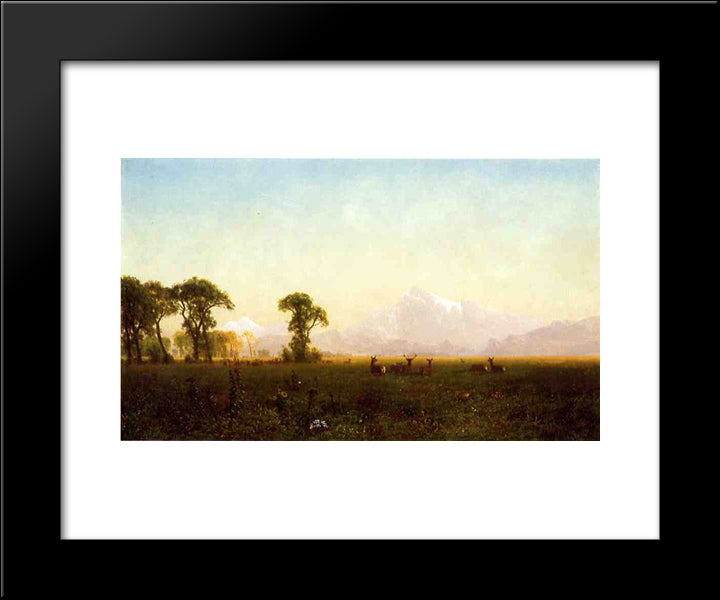 Deer Grazing, Grand Tetons, Wyoming 20x24 Black Modern Wood Framed Art Print Poster by Bierstadt, Albert