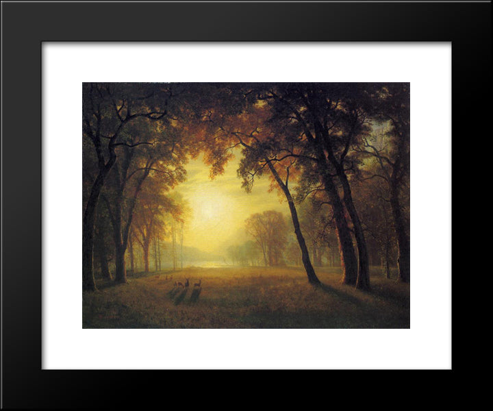Deer In A Clearing 20x24 Black Modern Wood Framed Art Print Poster by Bierstadt, Albert
