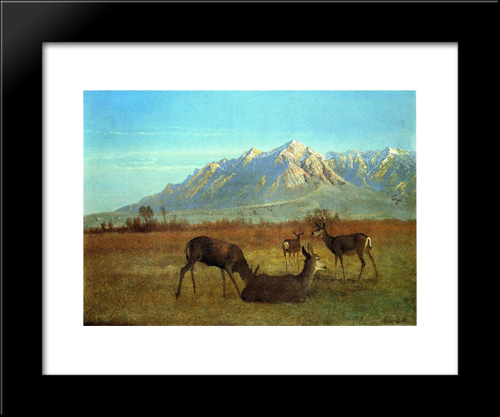 Deer In A Mountain Home 20x24 Black Modern Wood Framed Art Print Poster by Bierstadt, Albert