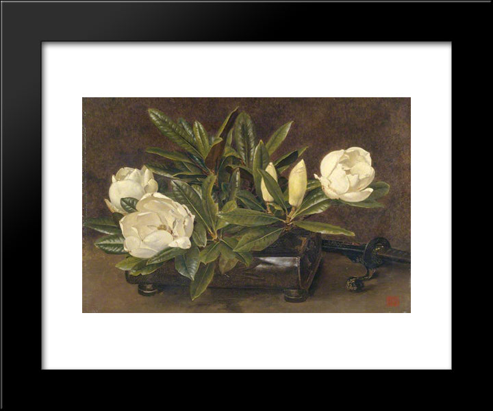 Magnolias 20x24 Black Modern Wood Framed Art Print Poster by Parsons, Alfred