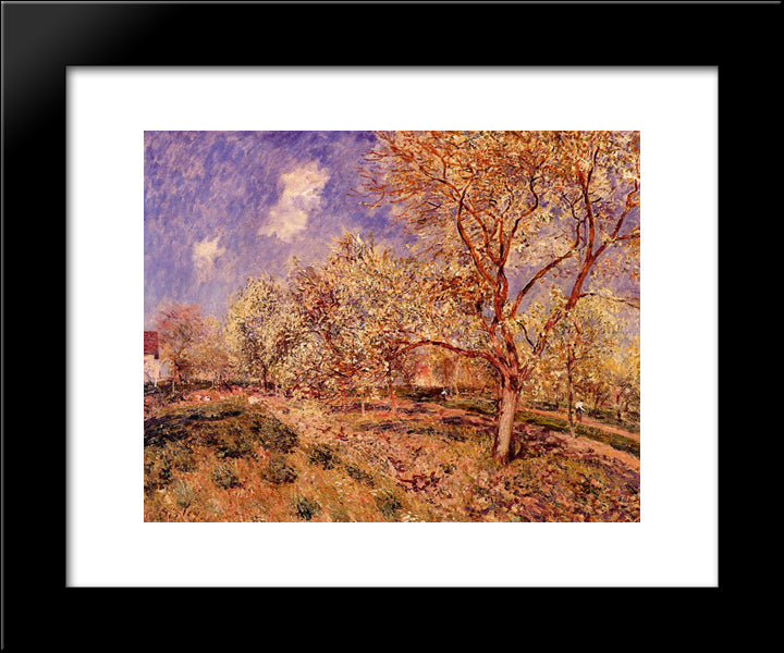 Spring At Veneux 20x24 Black Modern Wood Framed Art Print Poster by Sisley, Alfred