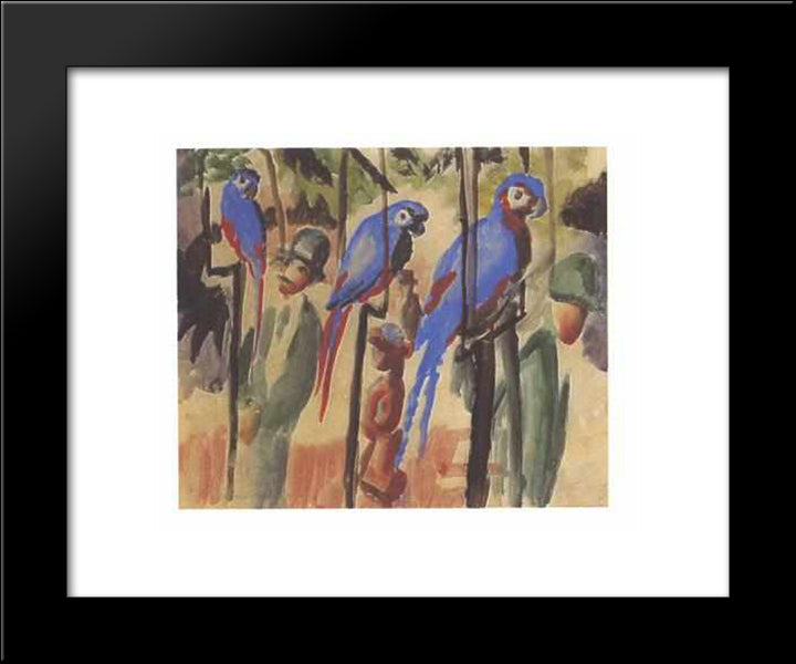 Blue Parrots 20x24 Black Modern Wood Framed Art Print Poster by Macke, August
