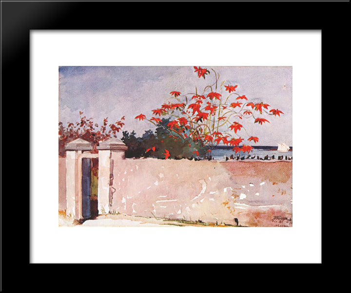 A Wall, Nassau 20x24 Black Modern Wood Framed Art Print Poster by Homer, Winslow