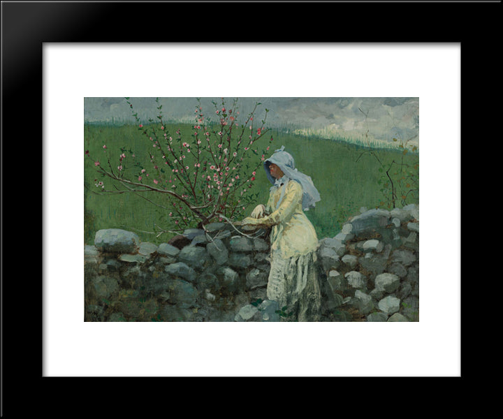 Peach Blossoms 20x24 Black Modern Wood Framed Art Print Poster by Homer, Winslow