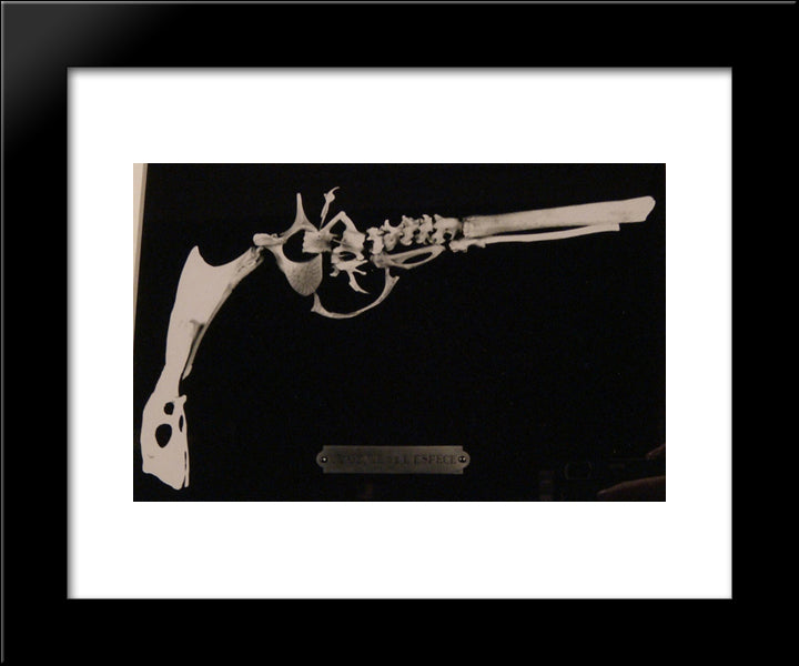 Genius Of The Species 20x24 Black Modern Wood Framed Art Print Poster by Paalen, Wolfgang