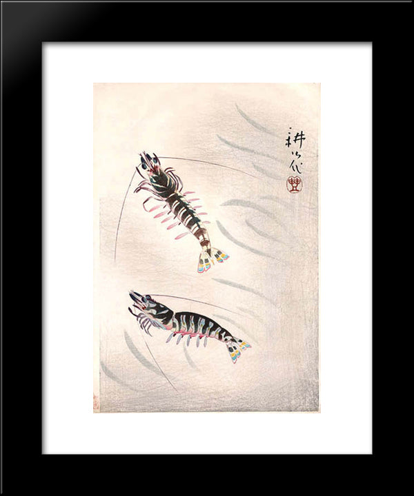 Two Prawns 20x24 Black Modern Wood Framed Art Print Poster by Toyonari, Yamamura