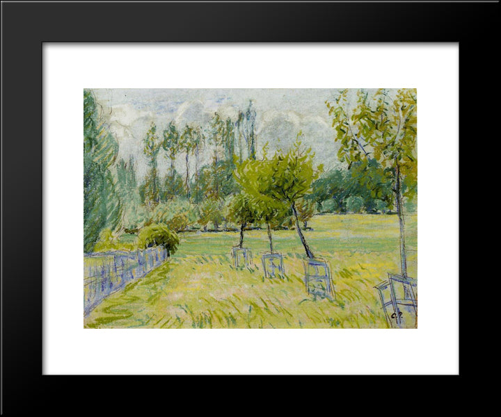 Study Of Apple Trees At Eragny 20x24 Black Modern Wood Framed Art Print Poster by Pissarro, Camille