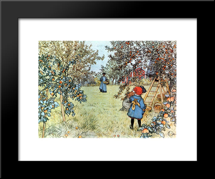 The Apple Harvest 20x24 Black Modern Wood Framed Art Print Poster by Larsson, Carl