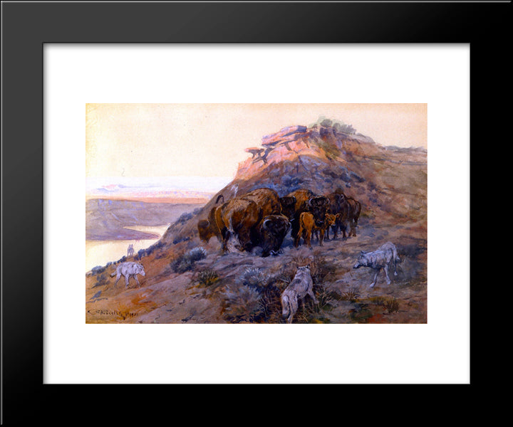 Buffalo Herd At Bay 20x24 Black Modern Wood Framed Art Print Poster by Russell, Charles M.