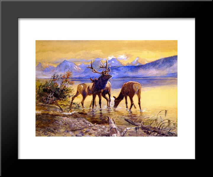 Elk In Lake Mcdonald 20x24 Black Modern Wood Framed Art Print Poster by Russell, Charles M.