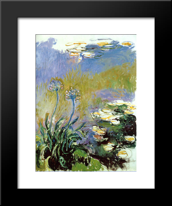 Agapanthus 20x24 Black Modern Wood Framed Art Print Poster by Monet, Claude