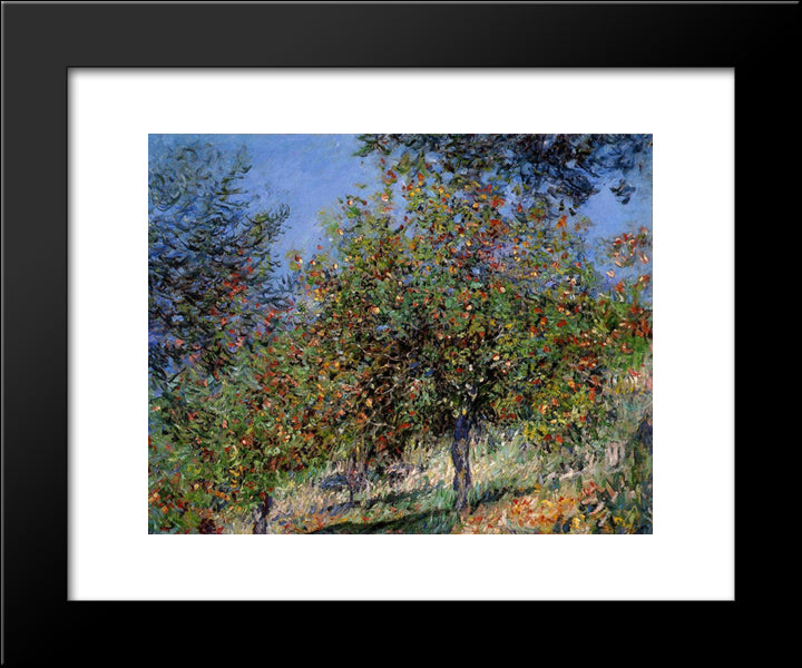 Apple Trees On The Chantemesle Hill 20x24 Black Modern Wood Framed Art Print Poster by Monet, Claude