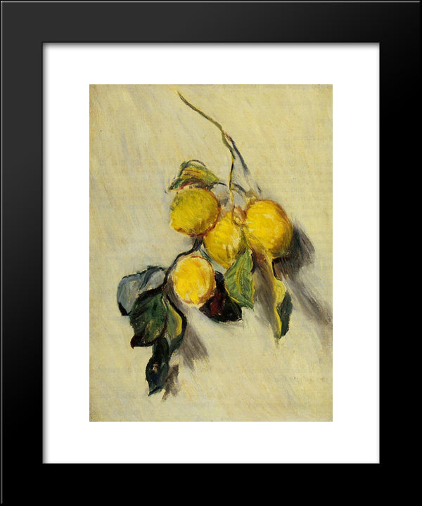Branch Of Lemons 20x24 Black Modern Wood Framed Art Print Poster by Monet, Claude