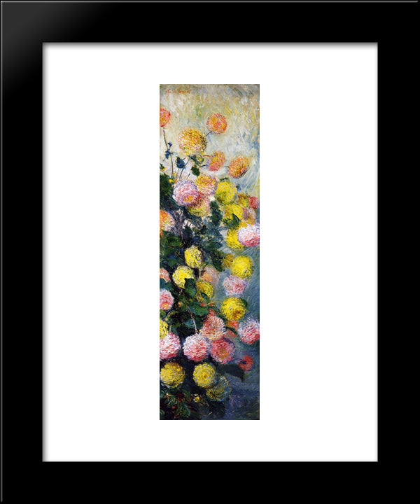 Dahlias 2 20x24 Black Modern Wood Framed Art Print Poster by Monet, Claude