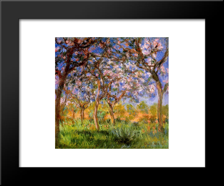 Giverny In Springtime 20x24 Black Modern Wood Framed Art Print Poster by Monet, Claude
