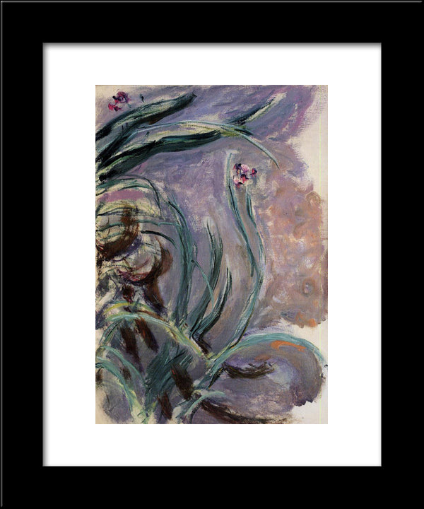 Irises 20x24 Black Modern Wood Framed Art Print Poster by Monet, Claude