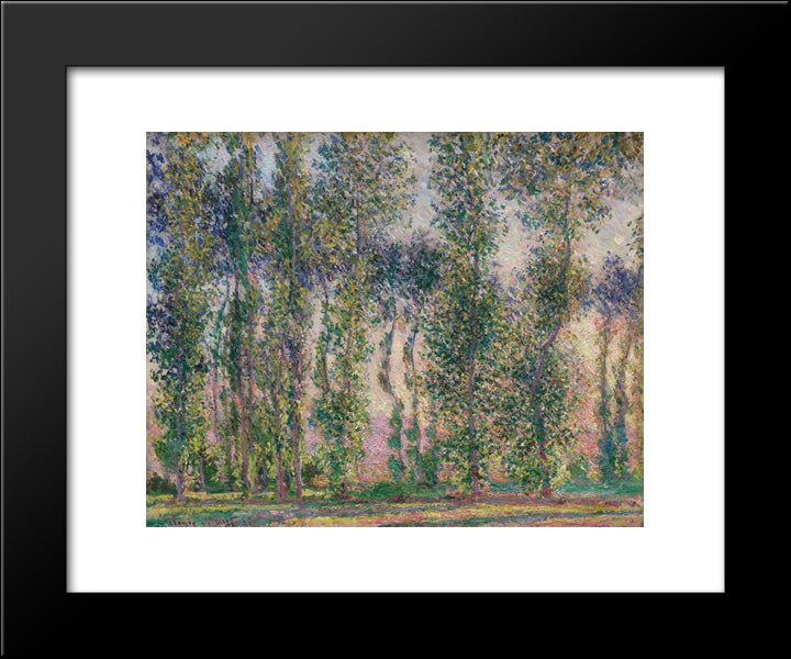 Poplars At Giverny 20x24 Black Modern Wood Framed Art Print Poster by Monet, Claude