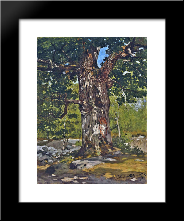 The Bodmer Oak 20x24 Black Modern Wood Framed Art Print Poster by Monet, Claude