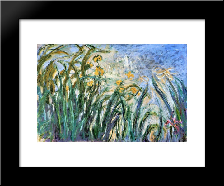 Yellow Irises And Malva 20x24 Black Modern Wood Framed Art Print Poster by Monet, Claude