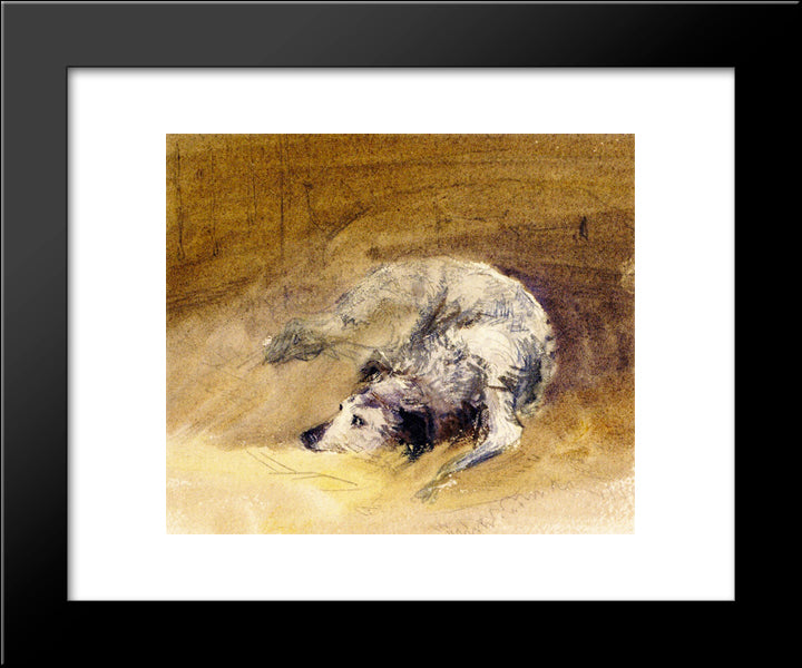 Study Of A Dog 20x24 Black Modern Wood Framed Art Print Poster by Cox, David