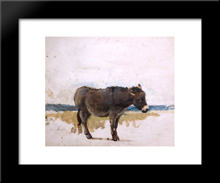 Study Of A Donkey 20x24 Black Modern Wood Framed Art Print Poster by Cox, David