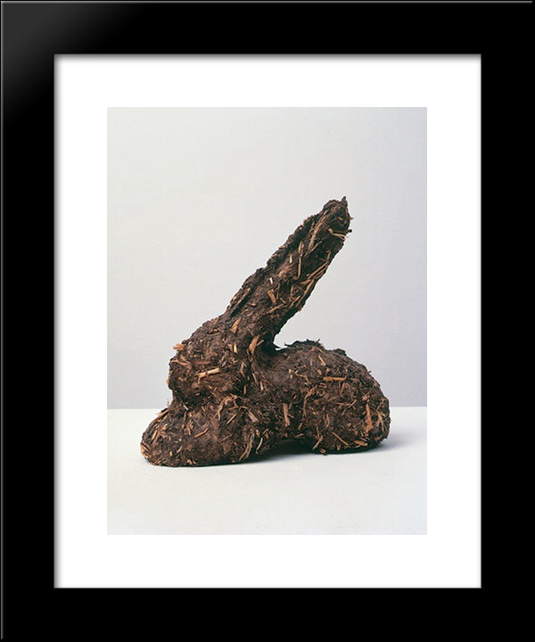Rabbit - Shit - Rabbit 20x24 Black Modern Wood Framed Art Print Poster by Roth, Dieter