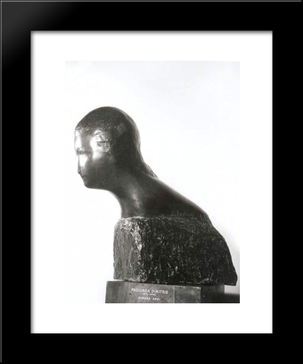 Chimera Of The Water 20x24 Black Modern Wood Framed Art Print Poster by Paciurea, Dimitrie