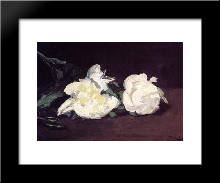 Branch Of White Peonies And Secateurs 20x24 Black Modern Wood Framed Art Print Poster by Manet, Edouard