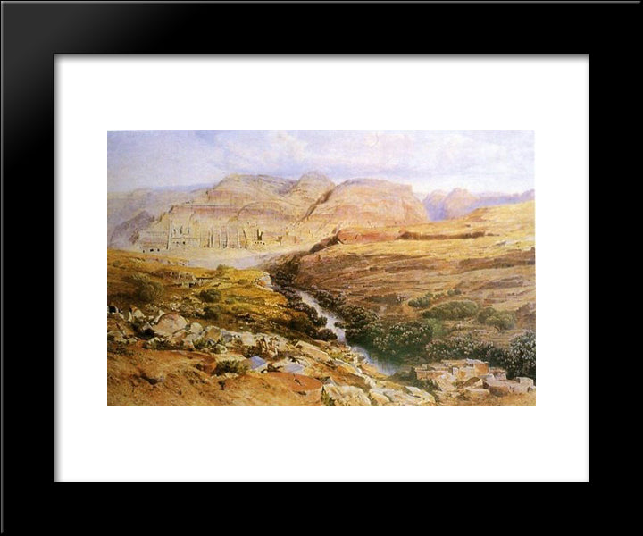 Petra 20x24 Black Modern Wood Framed Art Print Poster by Lear, Edward