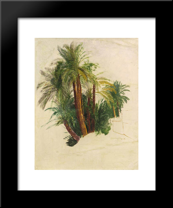 Study Of Palm Trees 20x24 Black Modern Wood Framed Art Print Poster by Lear, Edward