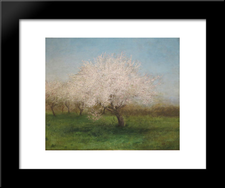 Apple Trees In A Meadow 20x24 Black Modern Wood Framed Art Print Poster by Bannister, Edward Mitchell