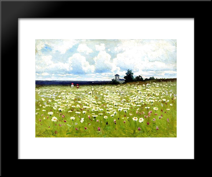 Field Of Daisies 20x24 Black Modern Wood Framed Art Print Poster by Volkov, Efim
