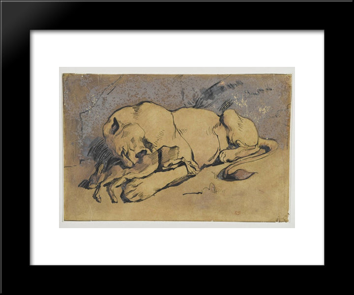 Lioness Devouring A Rabbit 20x24 Black Modern Wood Framed Art Print Poster by Delacroix, Eugene
