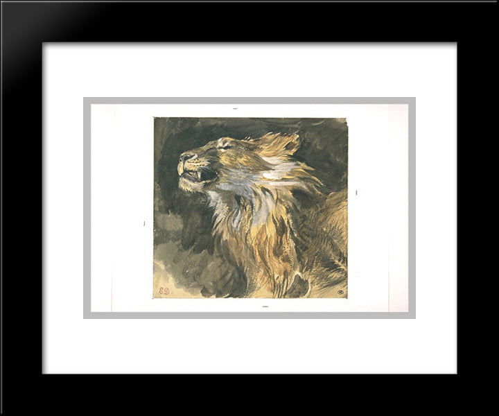Roaring Lion'S Head 20x24 Black Modern Wood Framed Art Print Poster by Delacroix, Eugene