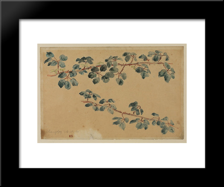 Two Branches With Leaves 20x24 Black Modern Wood Framed Art Print Poster by Delacroix, Eugene