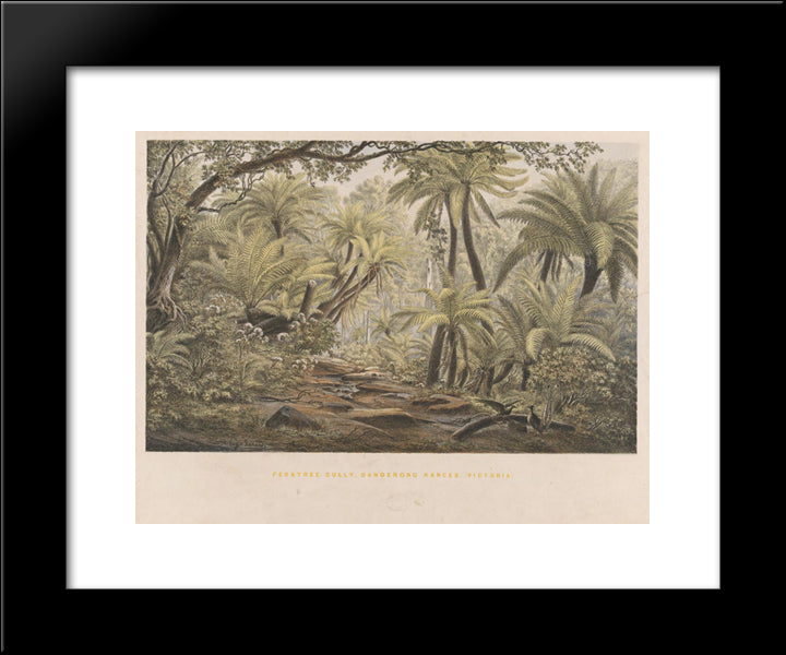 Ferntree Gully, Dandenong Ranges, Victoria 20x24 Black Modern Wood Framed Art Print Poster by von Guerard, Eugene