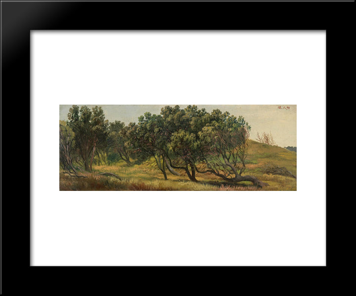 Honeysuckles, Cape Schanck 20x24 Black Modern Wood Framed Art Print Poster by von Guerard, Eugene