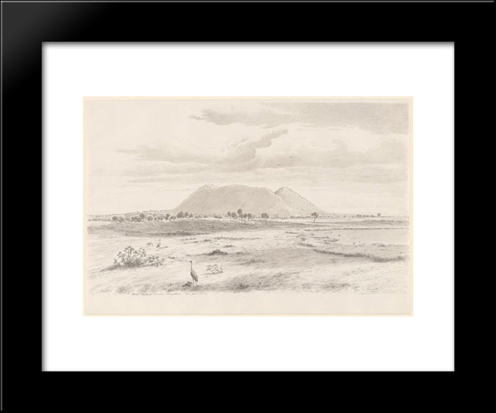 Mount Elephant 20x24 Black Modern Wood Framed Art Print Poster by von Guerard, Eugene