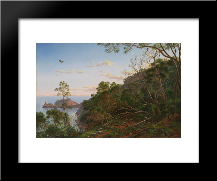 Tea Trees Near Cape Schanck, Victoria 20x24 Black Modern Wood Framed Art Print Poster by von Guerard, Eugene
