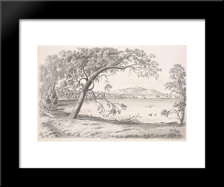 Western Part Of Lake Keilambete And Mt Noorat, An Extinct Volcano. Mr Thomson'S Station 20x24 Black Modern Wood Framed Art Print Poster by von Guerard, Eugene