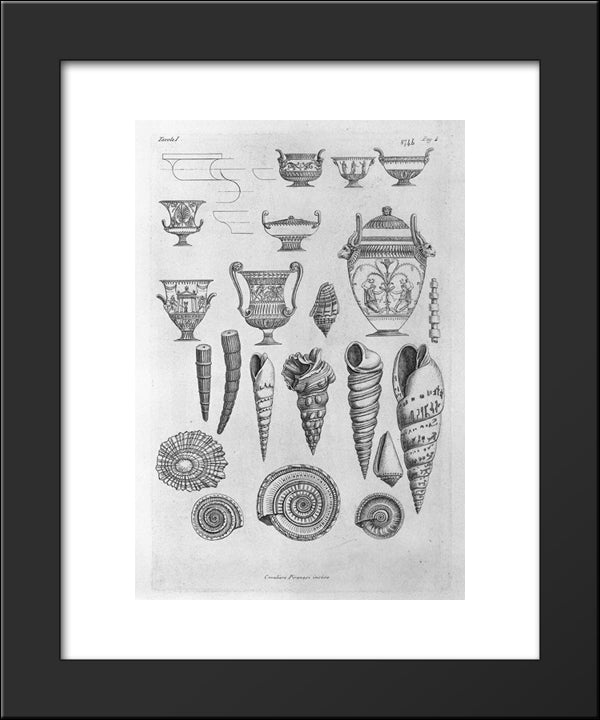 Other Shells, And Greek Vases Etched Outline 20x24 Black Modern Wood Framed Art Print Poster by Piranesi, Giovanni Battista