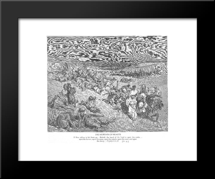 The Fifth Plague. Livestock Disease 20x24 Black Modern Wood Framed Art Print Poster by Dore, Gustave