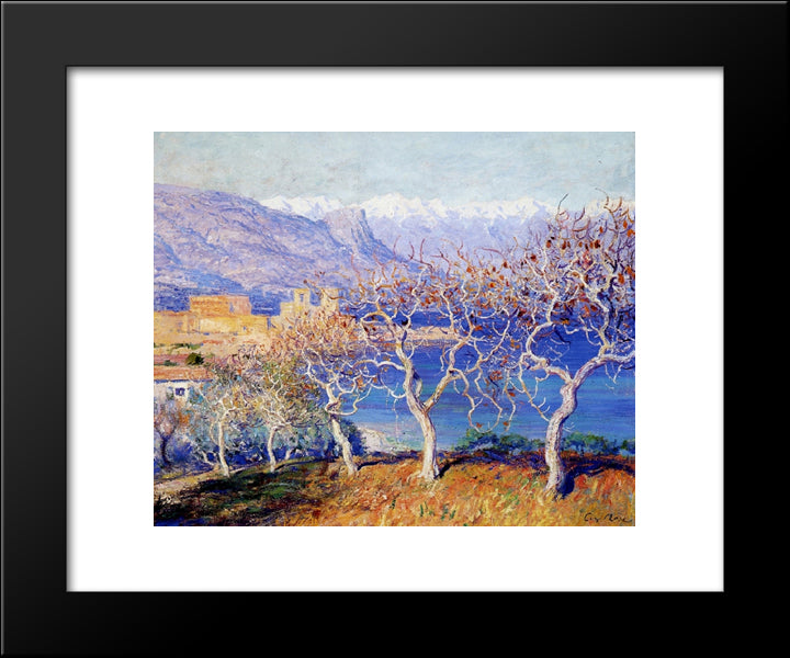 Fig Trees, Antibes 20x24 Black Modern Wood Framed Art Print Poster by Rose, Guy