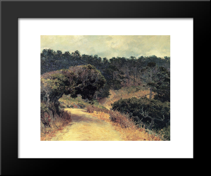 Monterey Forest 20x24 Black Modern Wood Framed Art Print Poster by Rose, Guy