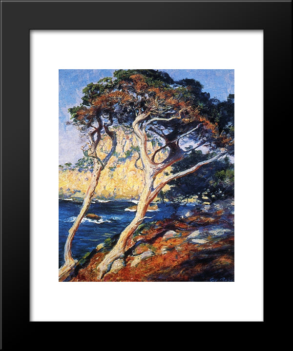 Point Lobos Trees 20x24 Black Modern Wood Framed Art Print Poster by Rose, Guy